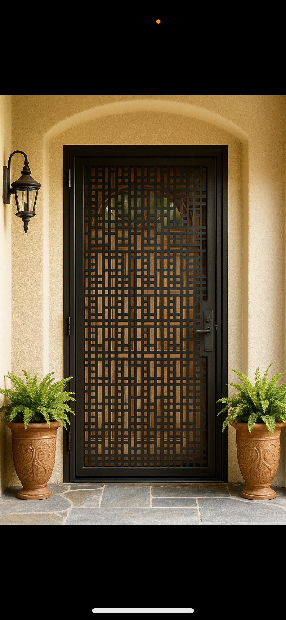 High secutity Door