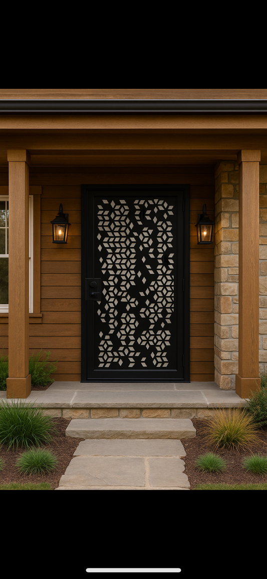 Metal Contemporary Security Door