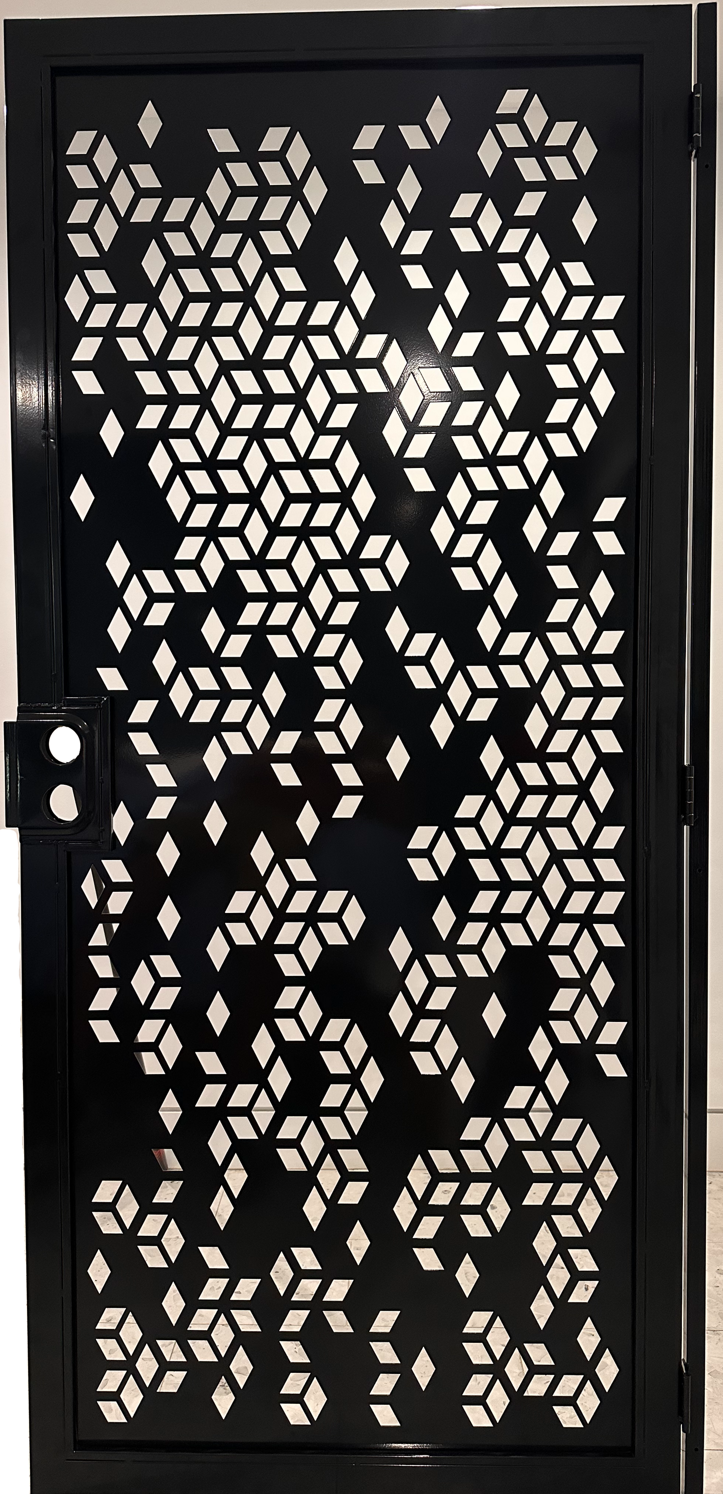 Metal Contemporary Security Door